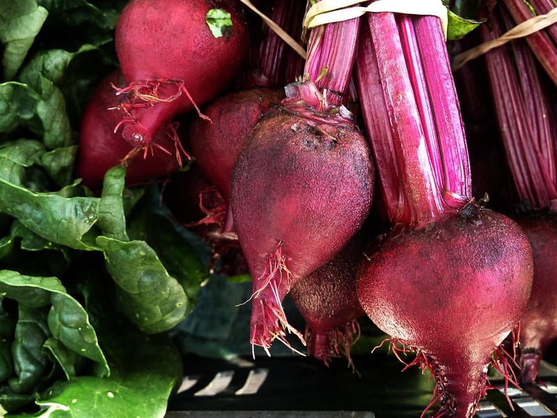 Beets are adapted to grow in cool temperatures, making them a perfect vegetable to plant both in spring and late summer