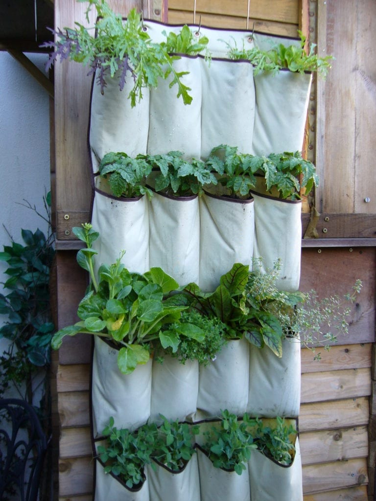 A heavy duty hanging shoe organizer makes an excellent base for a curtain garden.