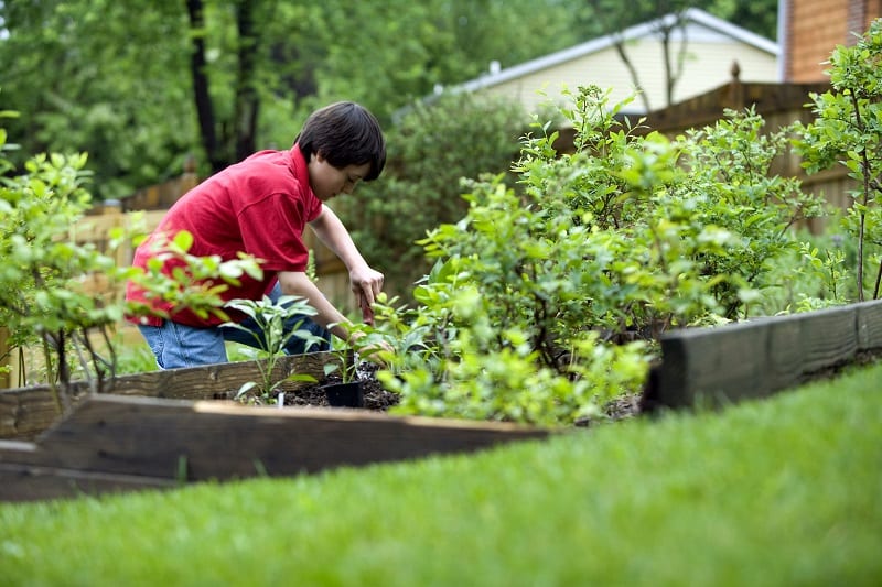 Gardening increases a child's planning and problem-solving skills. 