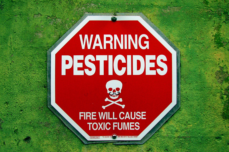 Chemical pesticides will kill bees, as well.  