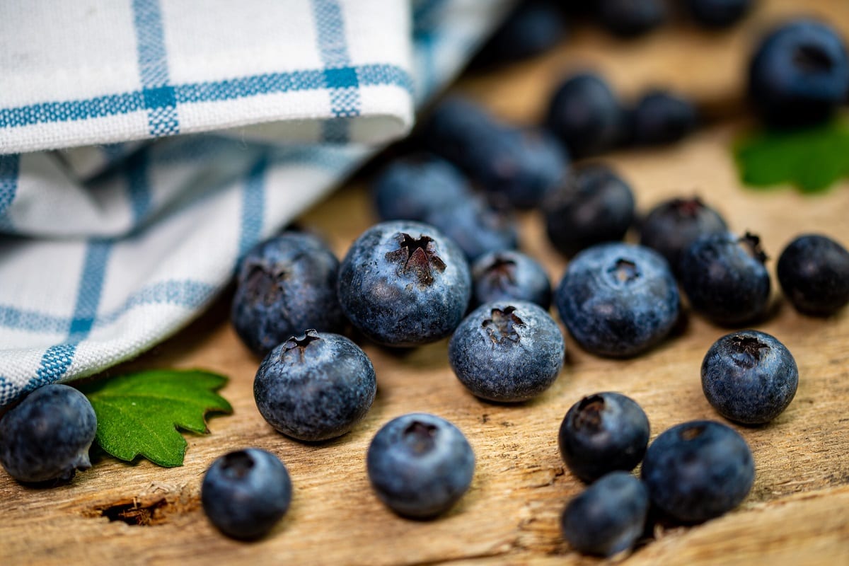 Growing Blueberries from Seed: Effective 5-Step Guide