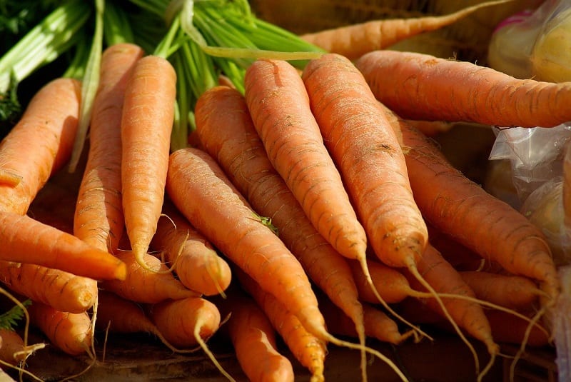 Carrots grow better when their root systems can easily penetrate the ground. 