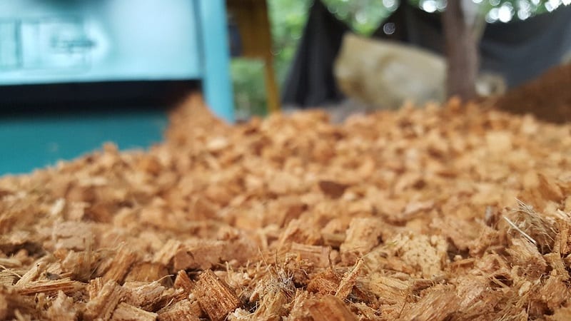 Coco coir mulch chips look like cubed husks.
