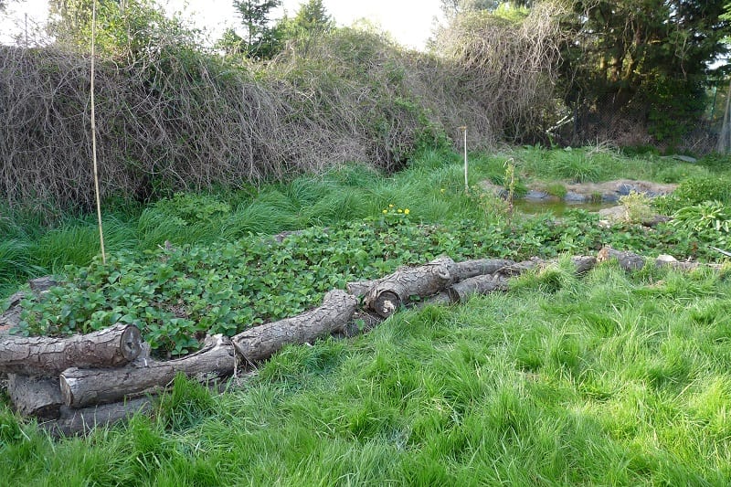 The bed will need watering as the wood breaks down over the first year.