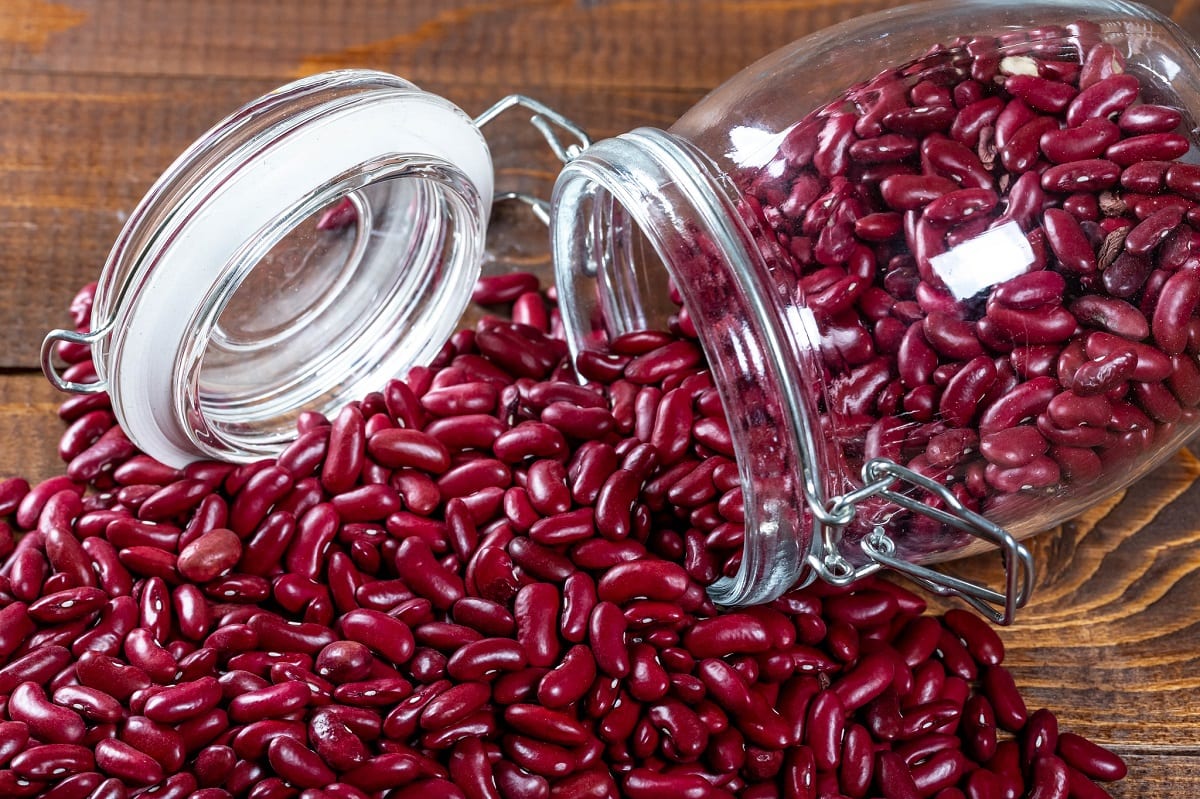 How to Grow Red Kidney Beans - The garden!