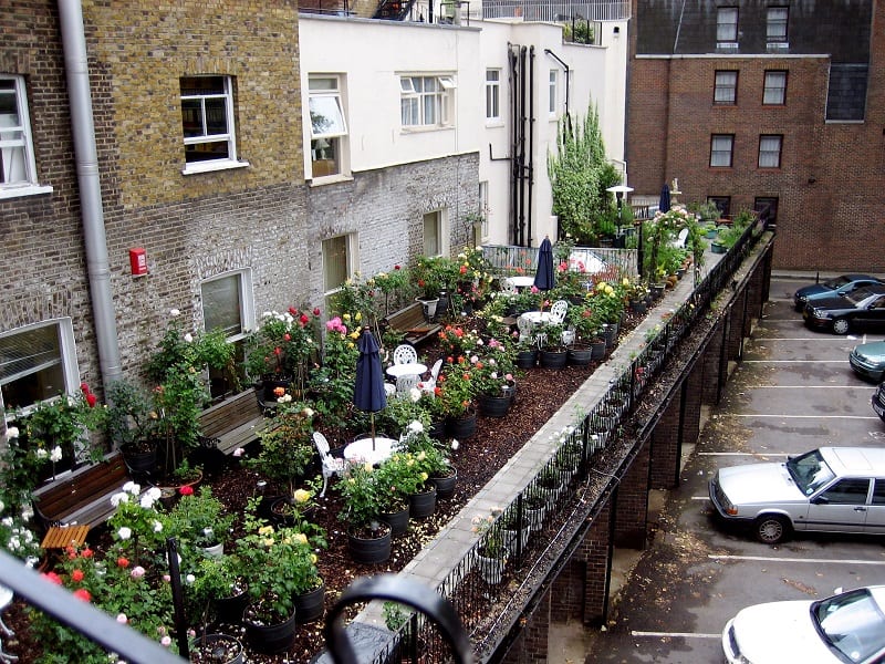 City dwellers have been growing plants on roofs and fire escapes for generations.