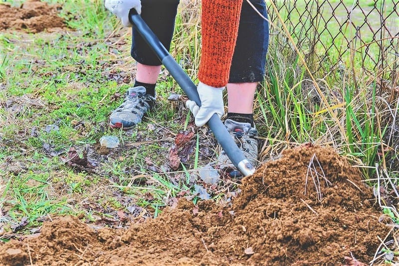 The shovel’s longer handle, or shaft, provides greater leverage and is useful for heavier work.