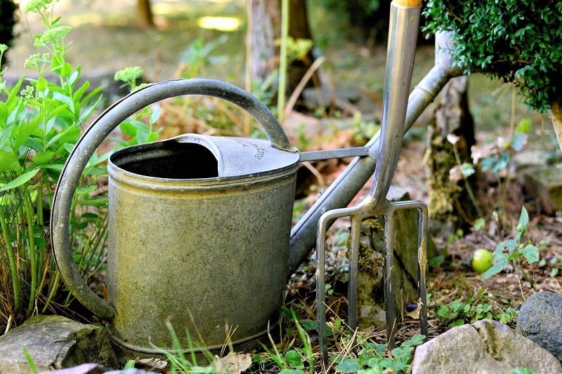 Before you establish the beds, break up and loosen the soil underneath with a garden fork. 