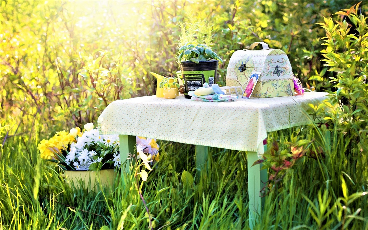 How to Use Herbs in Your Summer Garden’s Design