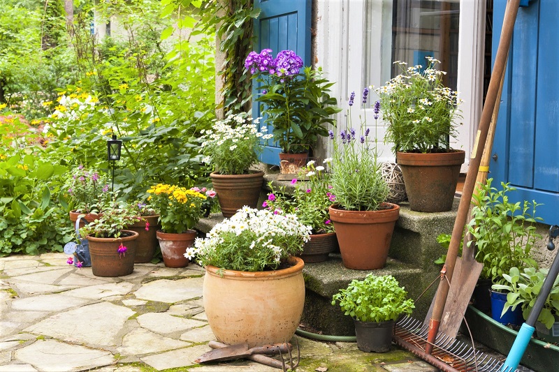 You don’t need a lawn or even flower beds to create a lush garden. 
