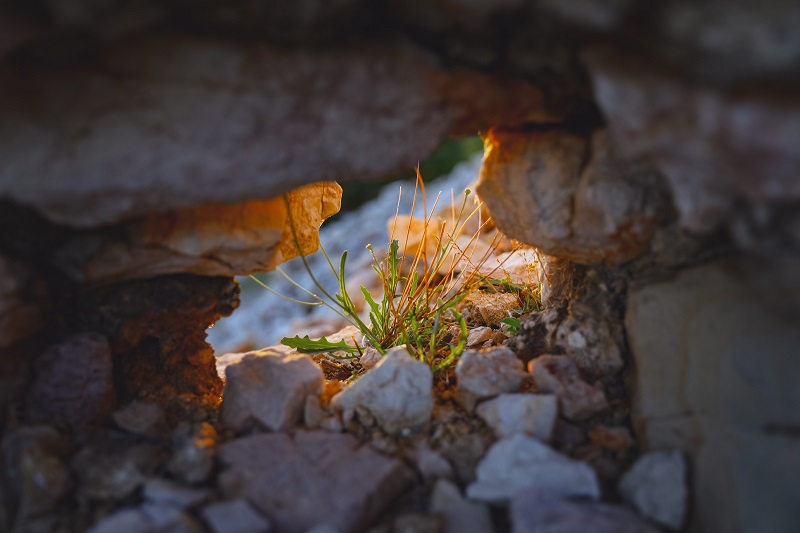 Closing off any holes in the walls, floors, and ceilings will prevent the rodents from finding a comfortable spot to overwinter.