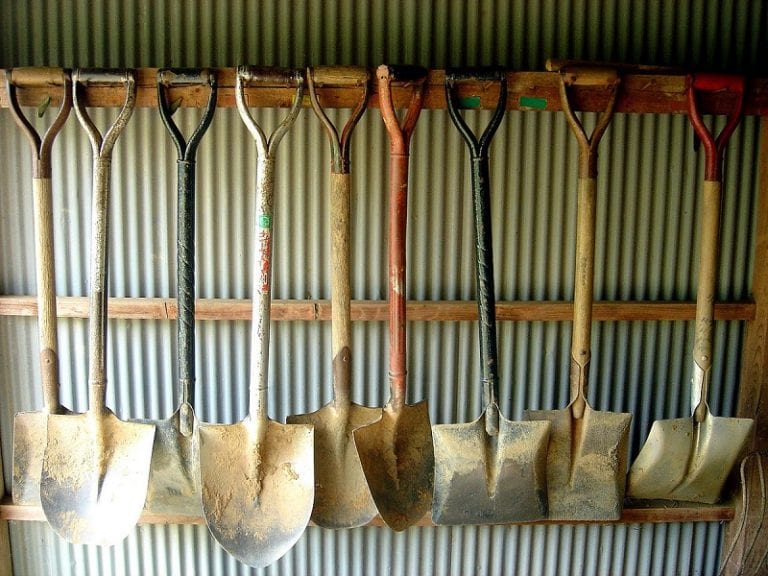 Shovels and Spades: Which to Use for What in the Garden The garden