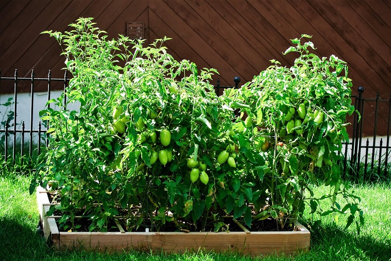 The signature elements of square-foot gardening are raised beds established along 4-by-4 squares to allow easy access from all sides.