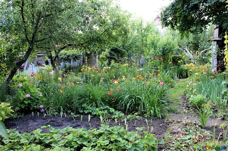 In many ways, being a successful gardener means creating a vigorous and productive garden with as little effort as possible.