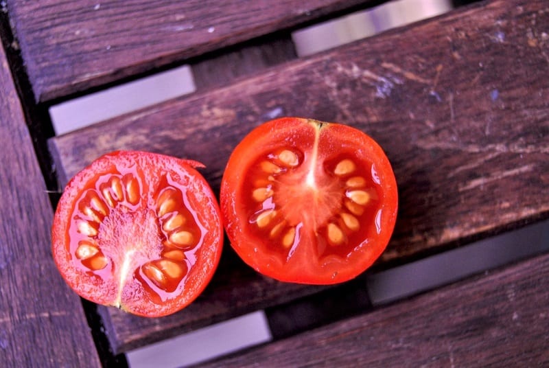 Fully ripe disease-free tomatoes are the best candidates for saving. 