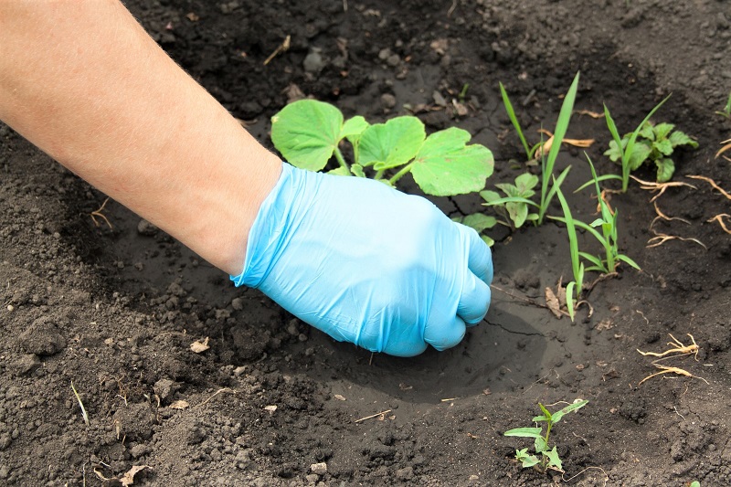 If you have ever battled weeds, then you know how strong, persistent, and domineering they can become – especially in the summer. 