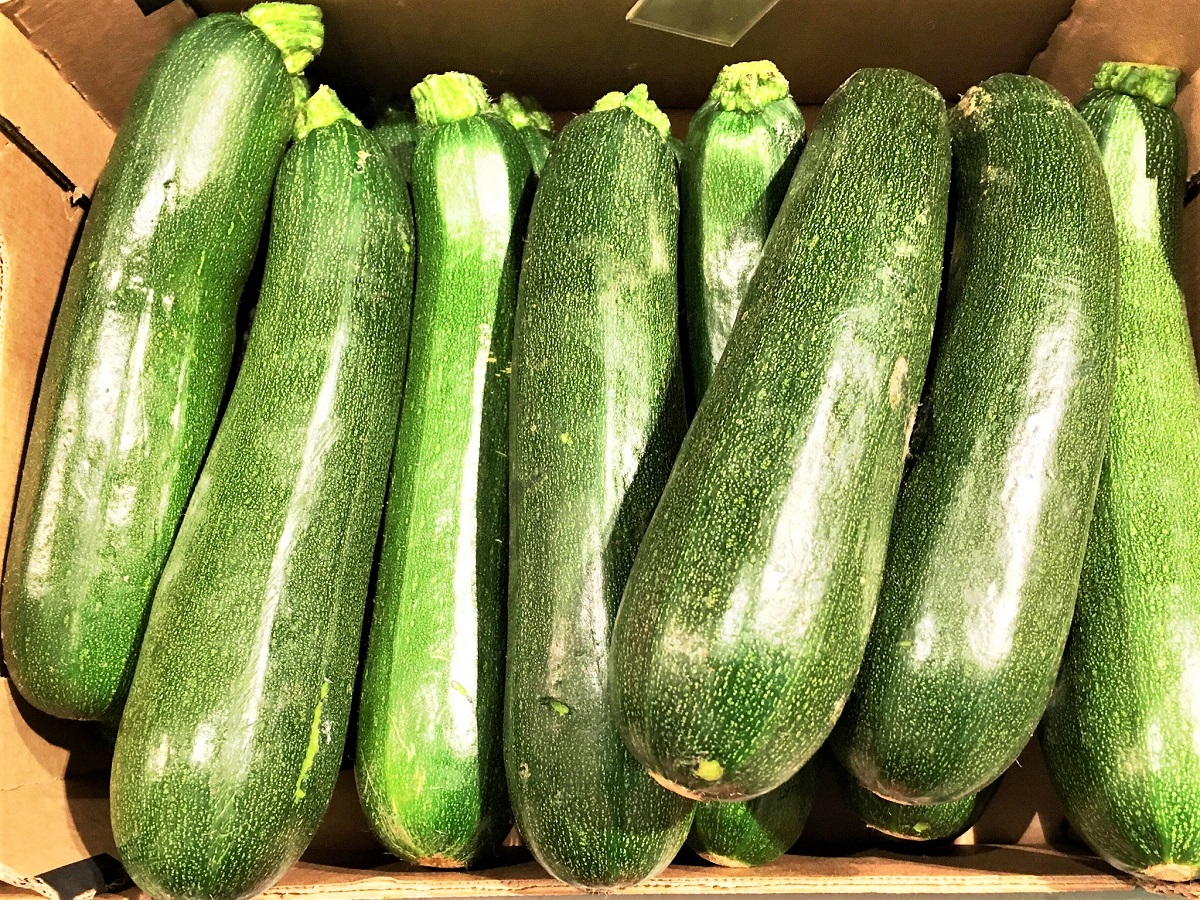 How to Grow Zucchini from Seed