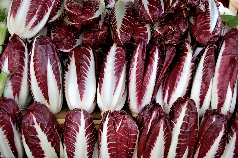 The radicchio is a cousin of the wild chicory. 