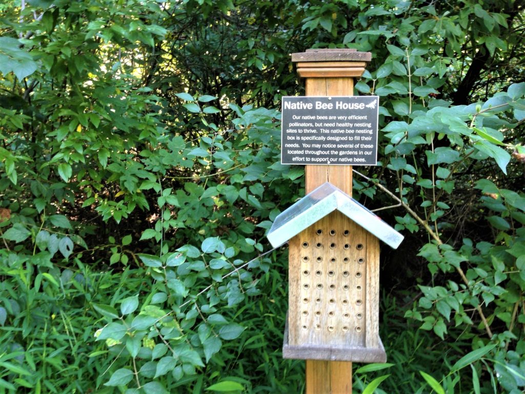 Some experts actually advise against large bee houses. 