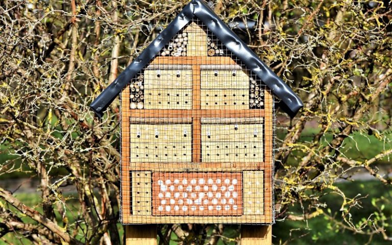 Bee House Essentials: 5 Tips for a Happy Garden Hive