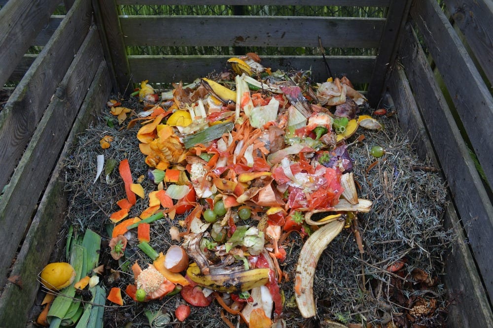 Composting is great for the environment and even better for your garden!