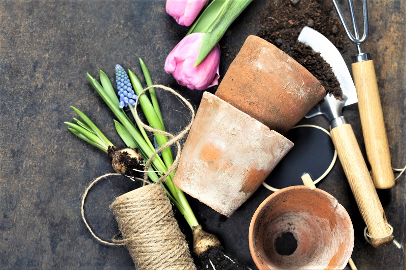 If the soil in your containers and raised beds has slumped over winter, it’s time to add a revitalizing top-up.