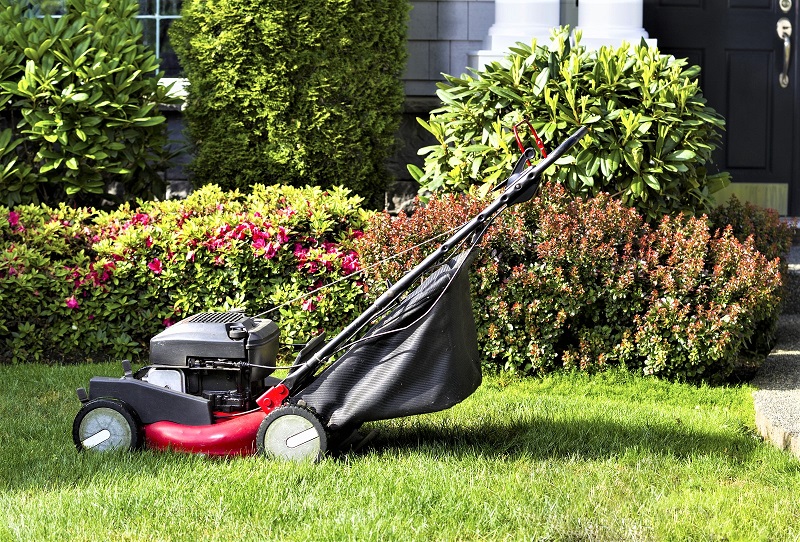 Few household machines are subject to so much use and abuse as lawnmowers. 