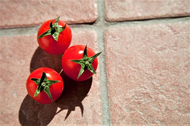 You can grow cherry tomatoes in places that receive full sun. 