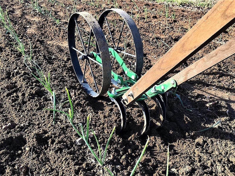 The Hoss Double Wheel Hoe has become one of the most trusted tools in the organic market gardener's tool shed.