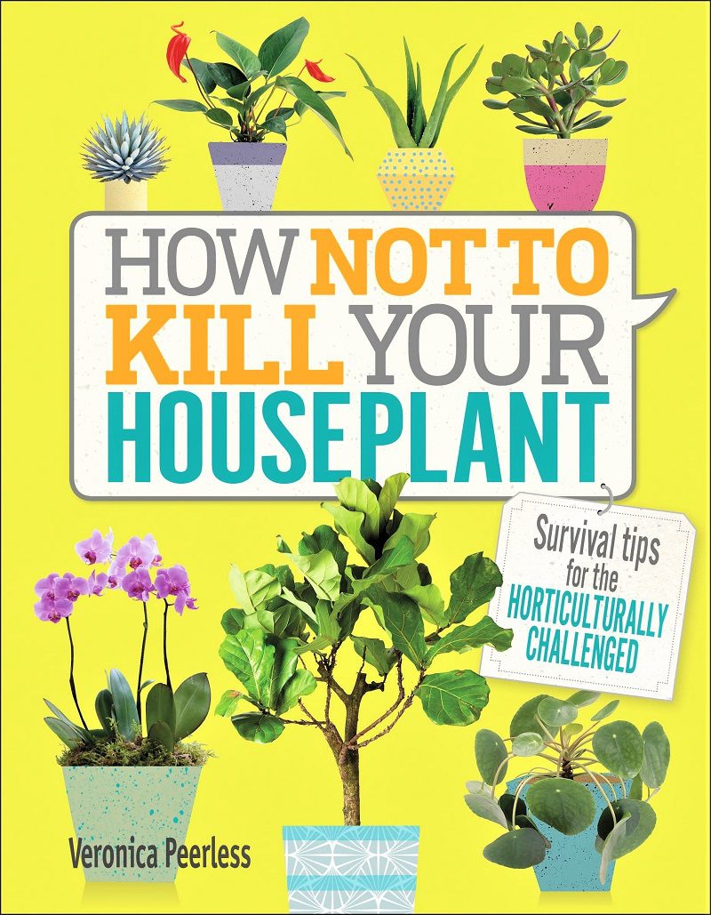 Get a copy of the recently published How Not to Kill Your Houseplant (Penguin Random House). The book, written by Veronica Peerless, covers everything from acquiring to potting to maintaining a plant.