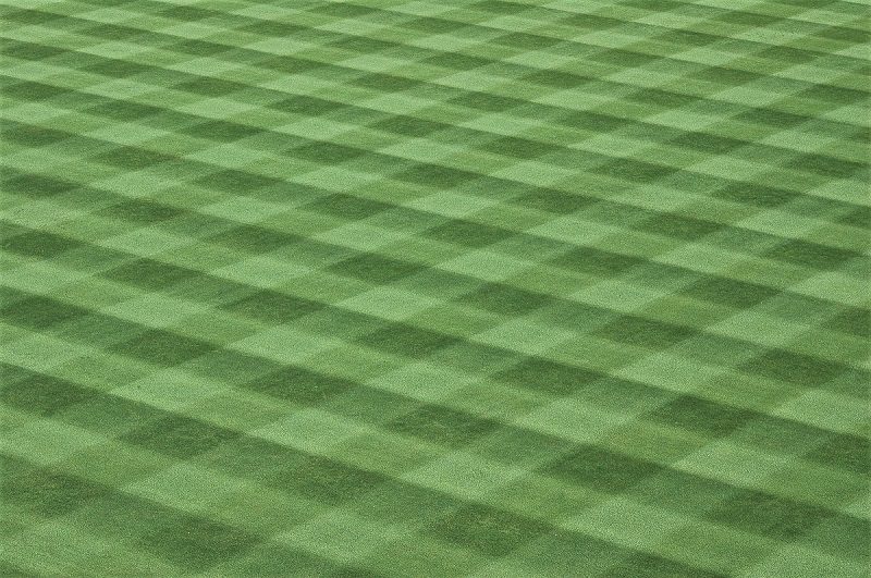 To create a checkerboard, mow the lawn a second time at 90 degrees to your first mowing. Finish by mowing a strip around the edges of the lawn.