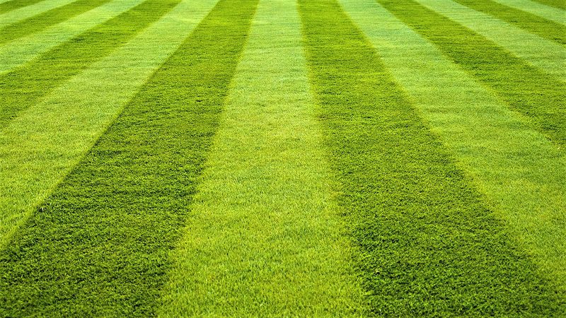 When mowing stripes, keep in mind a “line of sight” to use as a guide for the rest of the stripes. Mow in slow Y-turns rather than making sharp turns.  