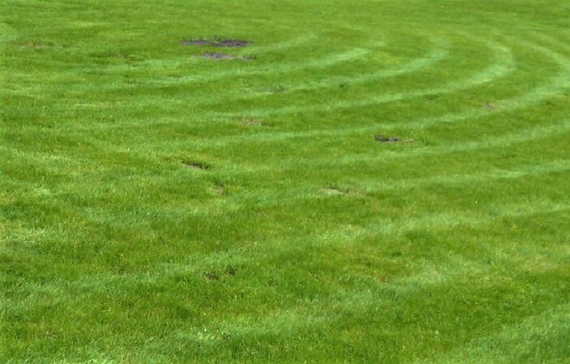 Circles are a great mowing pattern for highlighting flower beds, trees, and other features of your lawn.  Instead of starting from the edge of the yard, start from the center and mow outward.