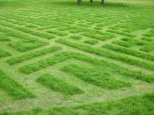 Basic Lawn Mowing Patterns for Your Yard and Garden