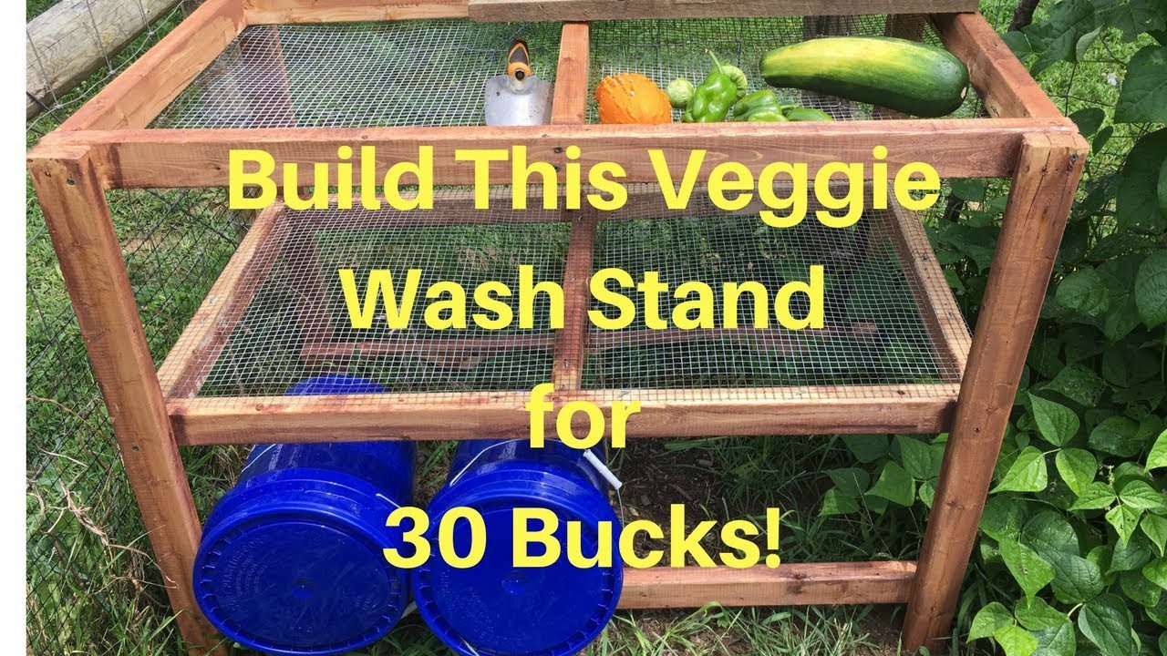 Mobile Vegetable Washer