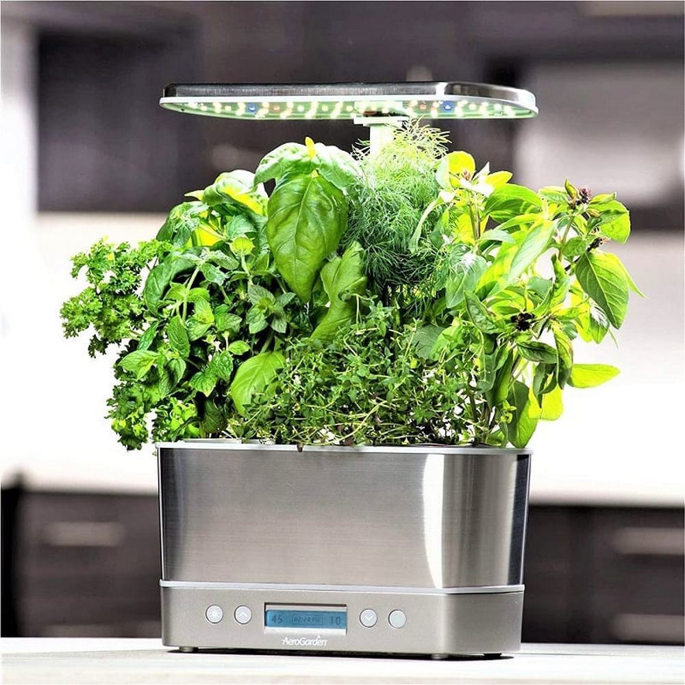 We’ve rounded up four of the best indoor hydroponic garden kits and systems available on Amazon. 