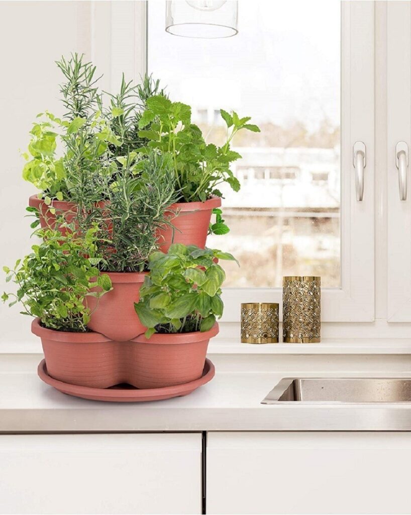 A vertical herb and low-growing plant garden.