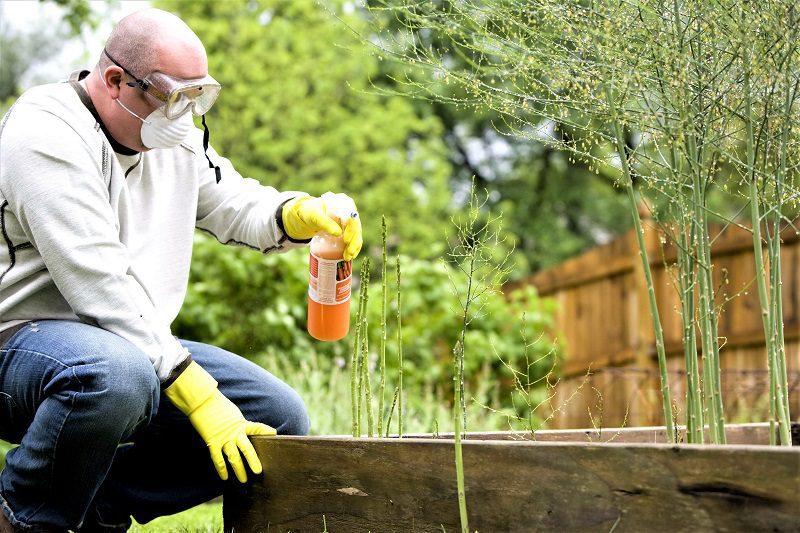You should always wear eye protection when you are doing any type of gardening activity, including digging, planting, pruning, or fertilizing.