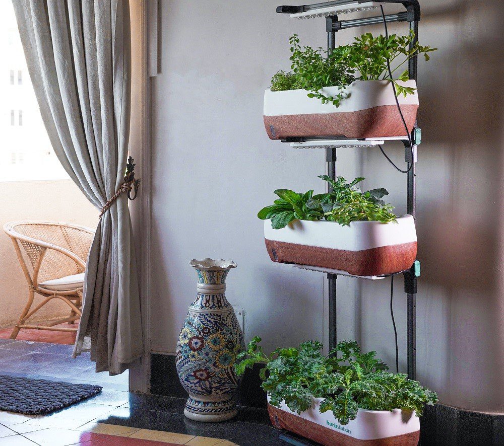A space-saving mini vertical garden.