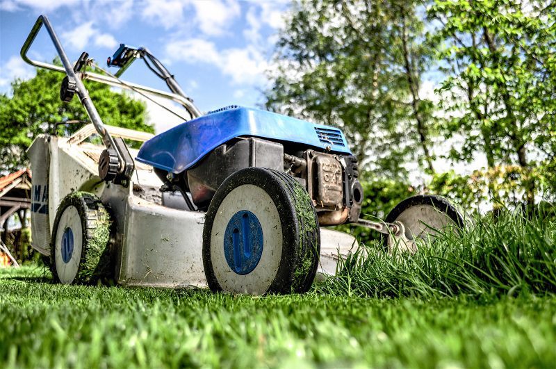 Hedge trimmers and lawnmowers are behind some of the most serious gardening injuries in the US, where they send some 9,600 people to the hospital each year.