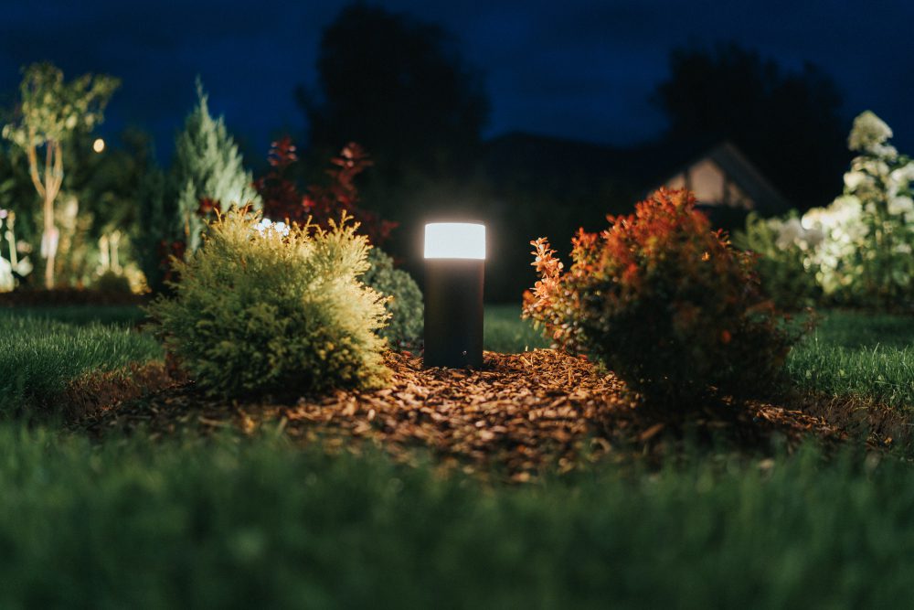 Install solar lights for security.