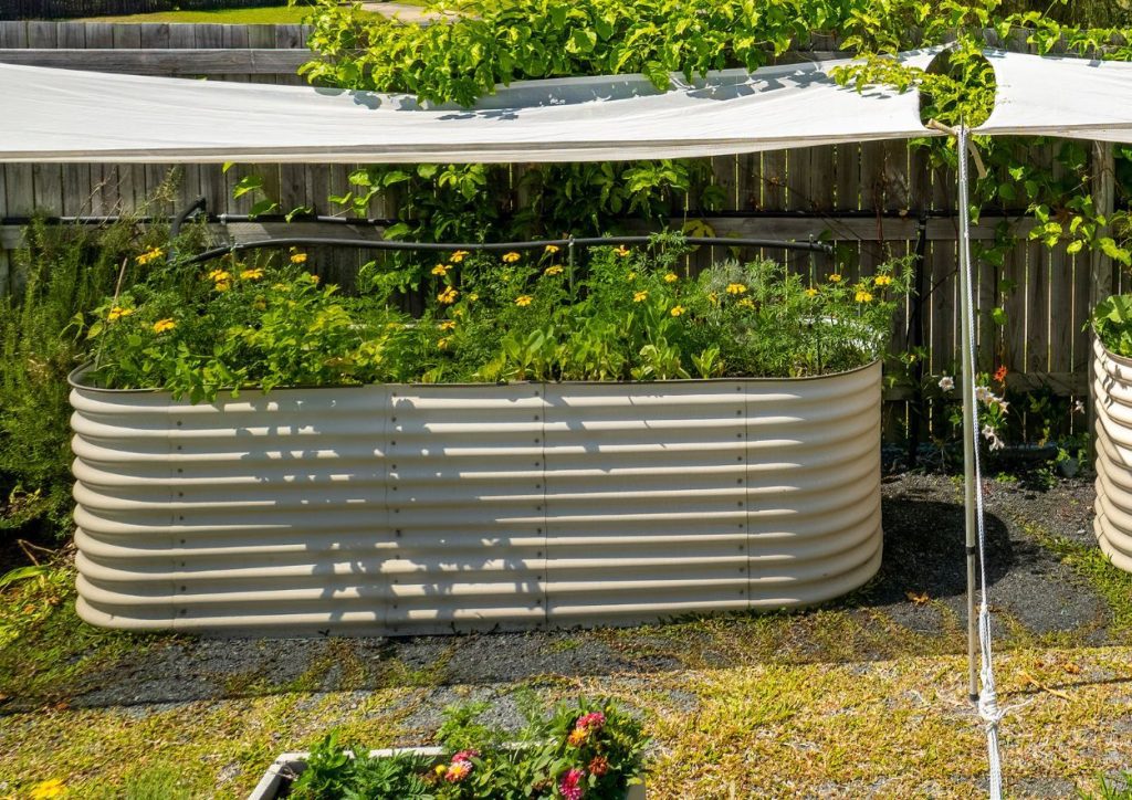 Many people have questions galvanized raised garden beds about them.