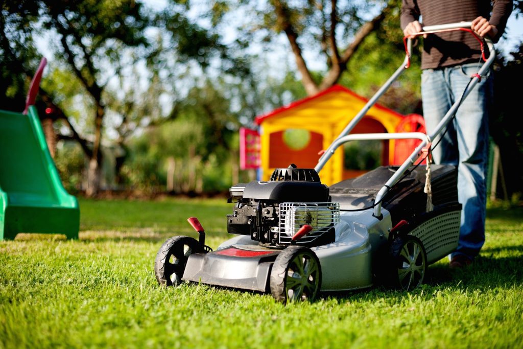 A healthy lawn is better able to resist disease, pests, and weeds..