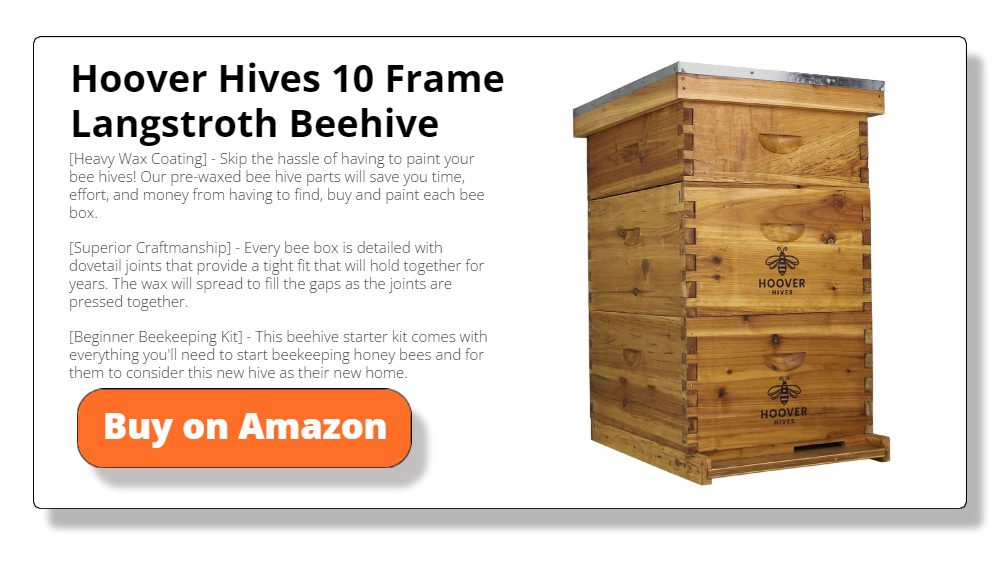 Hoover Hives 10 Frame Langstroth Beehive