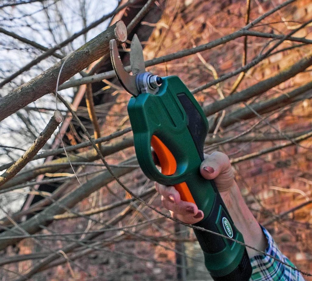 Investing in a high-quality electric pruning shear might have a higher upfront cost, but it's a long-term investment.