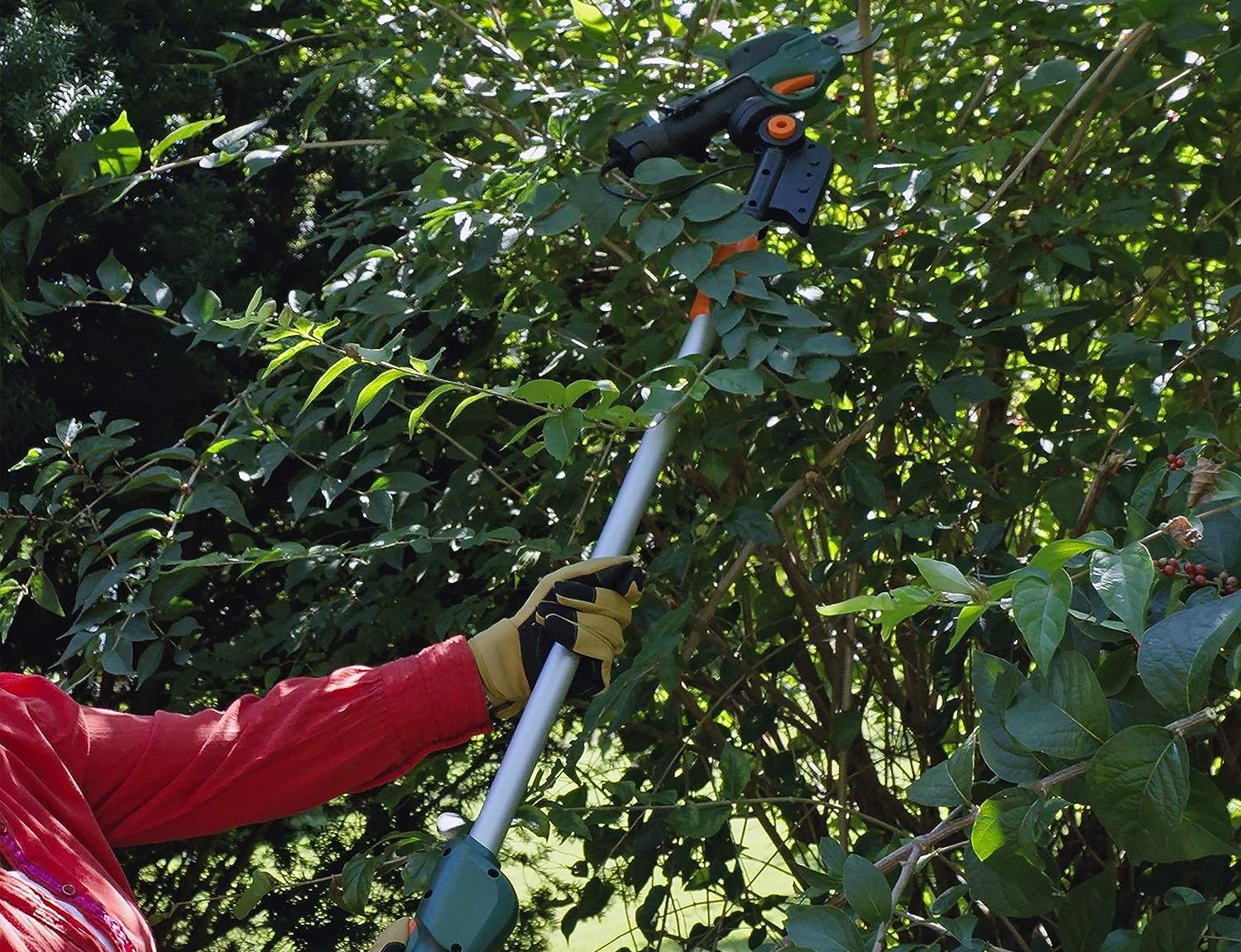 Quality electric pruning shears are designed to provide precise and clean cuts with minimal effort.