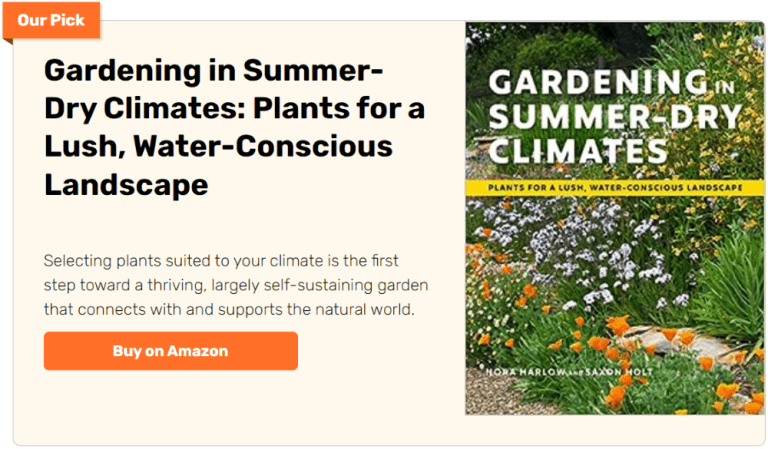 7 Tips to Help Your Grow a Better Summer Garden