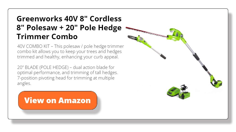 The 8 Best Pole Saws of 2023