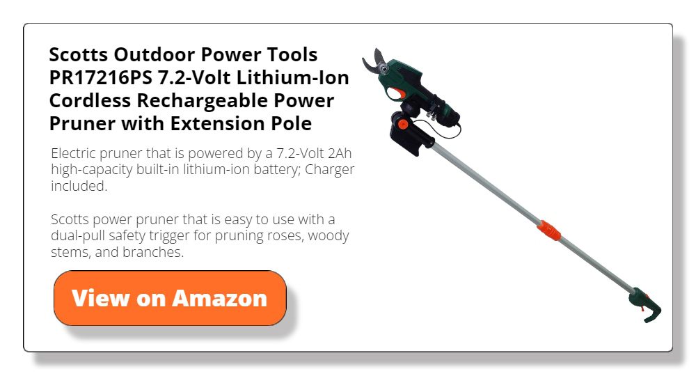 Scotts Outdoor Power Tools PR17216PS 7.2-Volt Lithium-Ion Cordless Rechargeable Power Pruner with Extension Pole