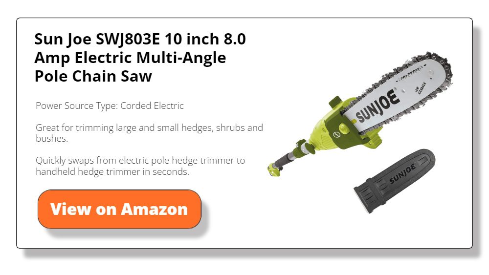 Sun Joe SWJ803E 10 inch 8.0 Amp Electric Multi-Angle Pole Chain Saw